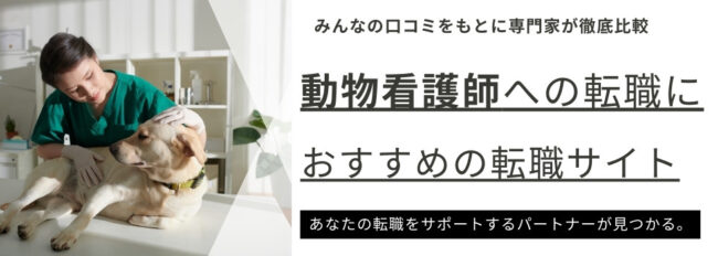 動物看護師におすすめの転職サイトランキング6選｜正社員や無資格向けも解説