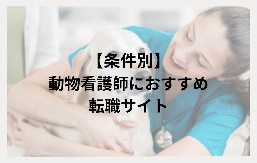 条件別動物看護師おすすめ転職サイト