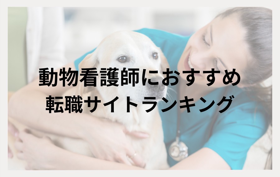 動物看護師おすすめ転職サイト